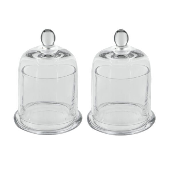 Glass Domes with Plates - Set of 2