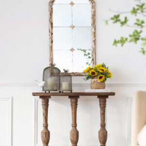 Chateau Paneled Arch Mirror with Distressed Wood Frame