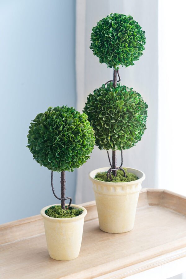 Double Ball Faux Topiary with Twisted Stem in Aged Ivory Pot - Image 3