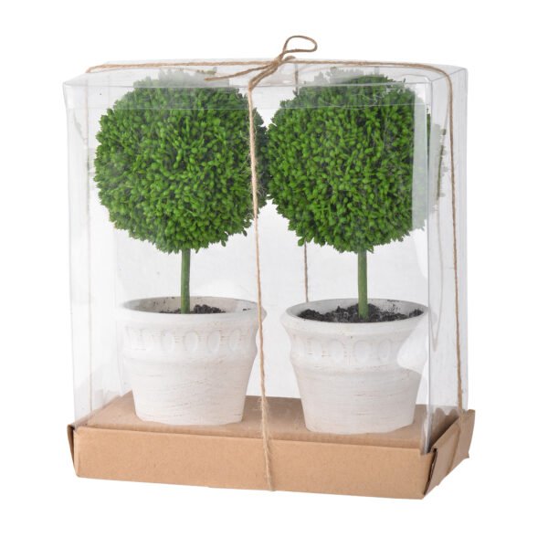 Mini Faux Topiary Duo in Cream Pots – Gift Boxed Set - Image 2