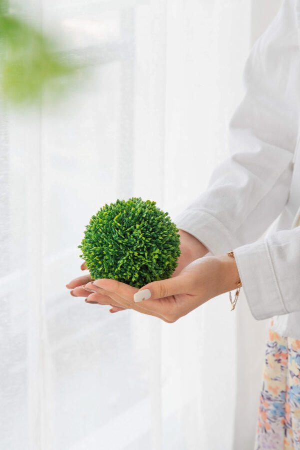 Faux Boxwood Ball Trio – Gift Boxed Set - Image 4