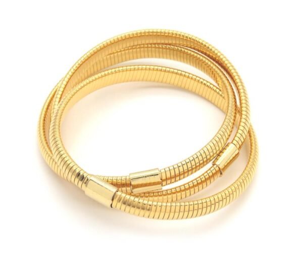 Golden Glide Coil Bangle