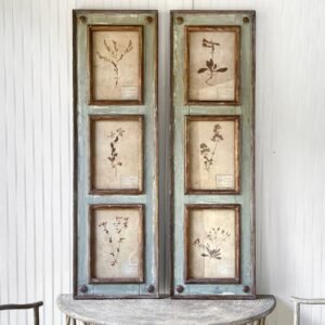 Framed Botanical Collection Panels, Set of 2