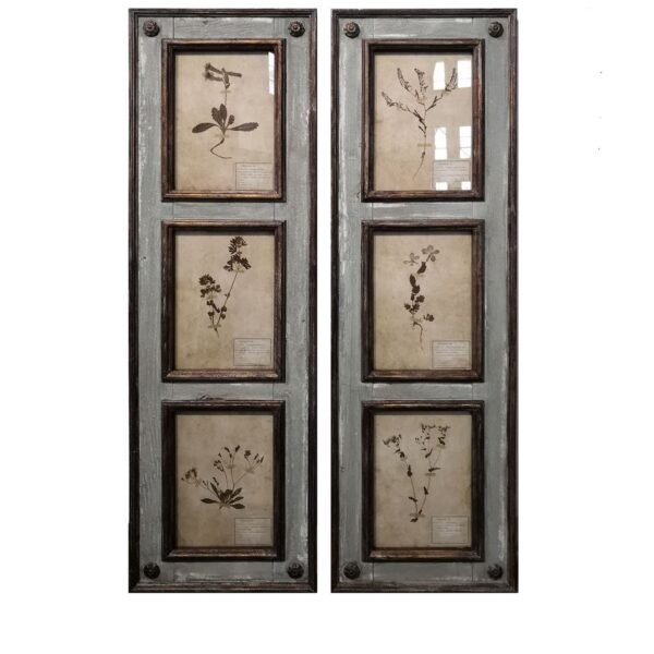 Framed Botanical Collection Panels, Set of 2 - Image 2