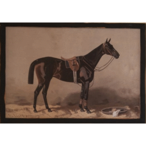 Framed English Equestrian Print- Black facing right