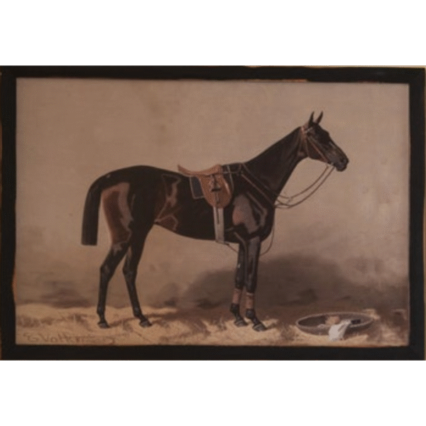 Framed English Equestrian Print- Black facing right