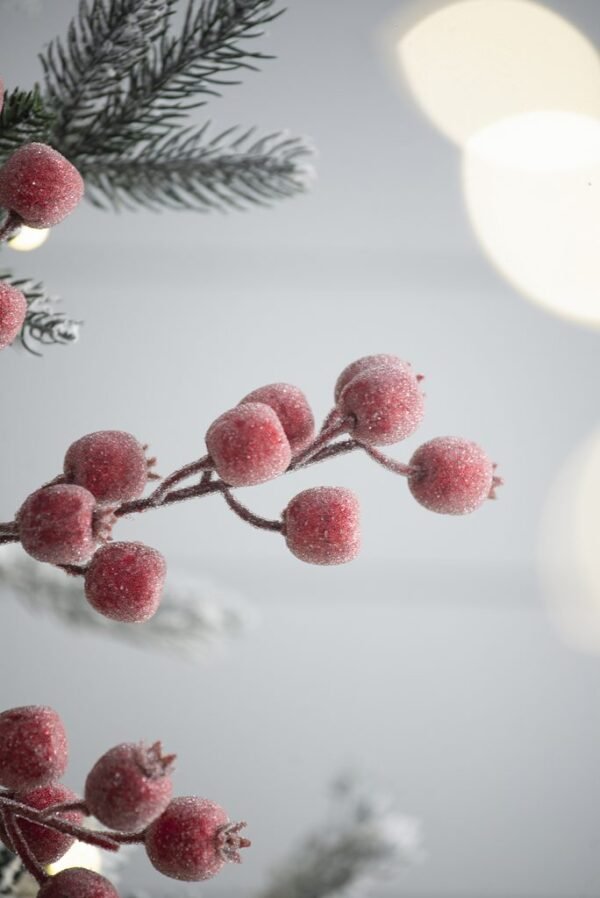 Mulberry Holiday Spray - Image 6