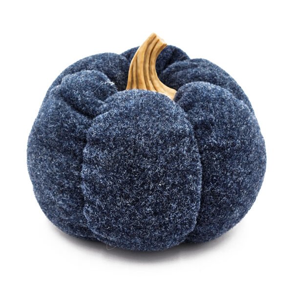 Midnight Harvest Pumpkin
