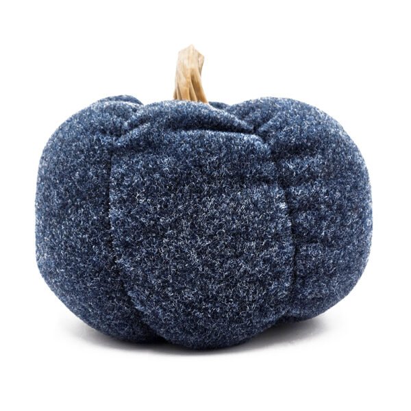 Midnight Harvest Pumpkin - Image 2
