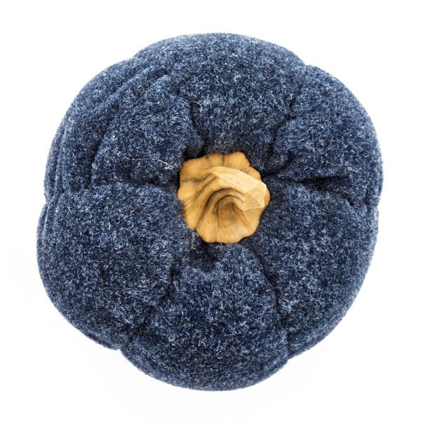 Midnight Harvest Pumpkin - Image 3