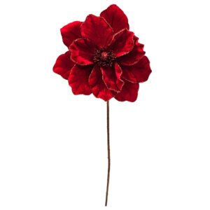 Crimson Magnolia Stem