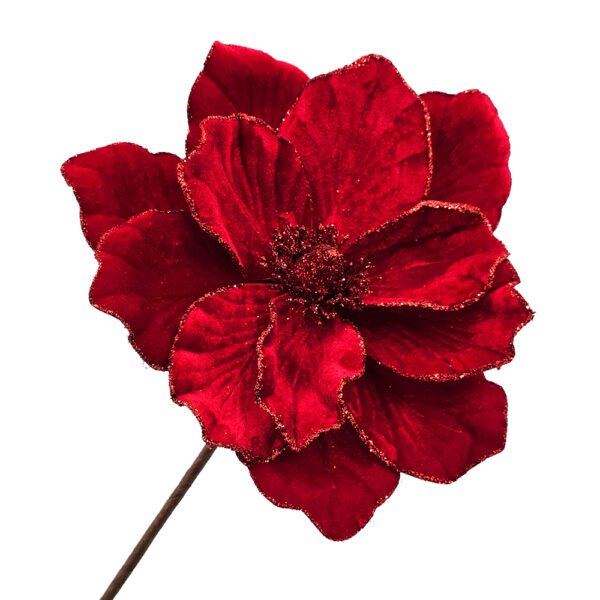 Crimson Magnolia Stem - Image 2